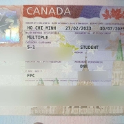 Vu Nguyen Visa