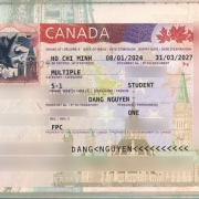 Dang Nguyen Visa
